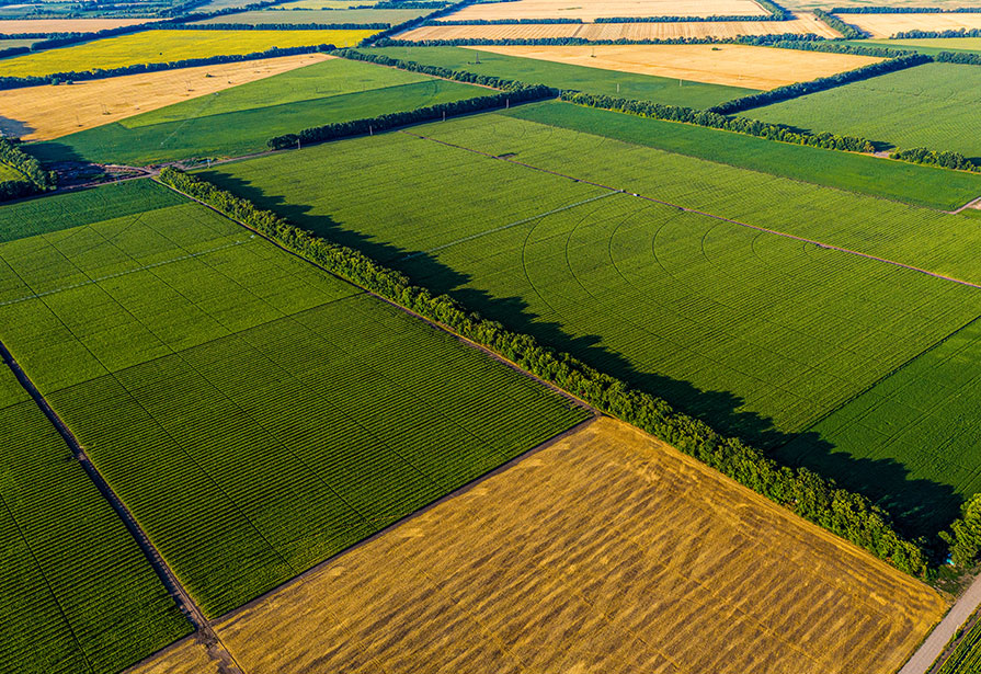 What you should know when leasing your land for a solar farm Sunlight
